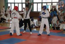 Mini_pt-taekwondo0