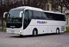 Mini_pt-polbus