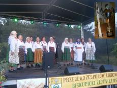 Mini_pt-waliszowianie