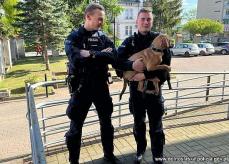 Uratowali pieska od śmierci Mini_pt-piesek1
