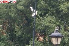 Pod czujnym okiem kamery Mini_1692183995728