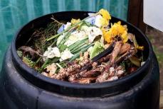 Mini_pt-kompost1