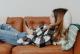 List_mini_trust-luna-2025