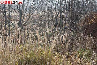 Slider_2u2a1062