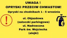 KŁODZKO - Następne miejsca z opryskami chemicznymi Mini_pt-chemia10