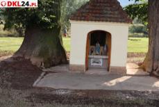 Mini_2u2a0088