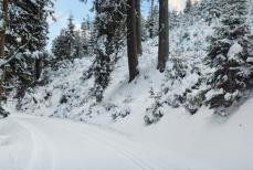 Mini_dkl24-cetik-biegowki-01