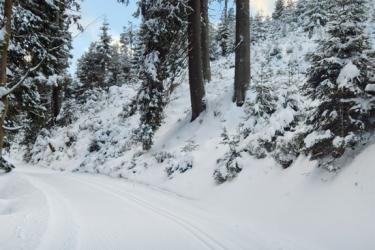 Slider_dkl24-cetik-biegowki-01