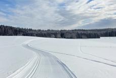 Mini_dkl24-gcksit-biegowki