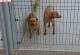 List_mini_dsc-0198