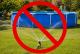 List_mini_dkl24-apel-woda
