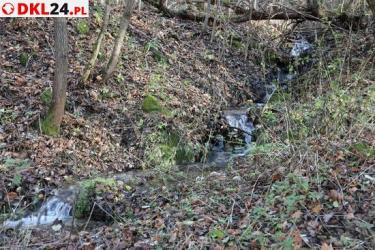 Slider_pt-trujaca