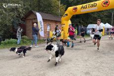 Mini_dkl24-dogtrekking-zloty-stok-2026-11